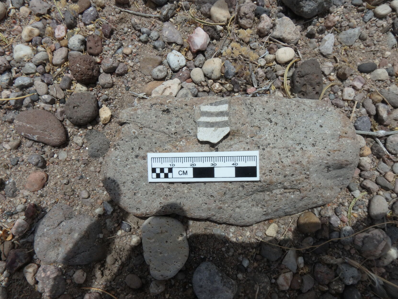 P6040120 copy.jpg